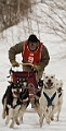 2009-03-14, Competition de traineaux a chiens au Bec-scie (131931)